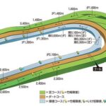 東京競馬場で有利な枠と有利な脚質は？東京が得意な騎手。データ傾向を分析する。儲かる馬券の買い方