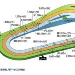 京都競馬場で有利な枠と有利な脚質は？京都で上手い騎手。データ傾向と馬券の買い方を考察